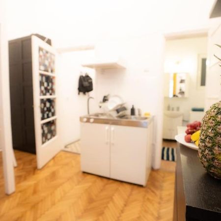 Apartmán Cozy Studio Near Cismigiu Park Bukurešť Exteriér fotografie