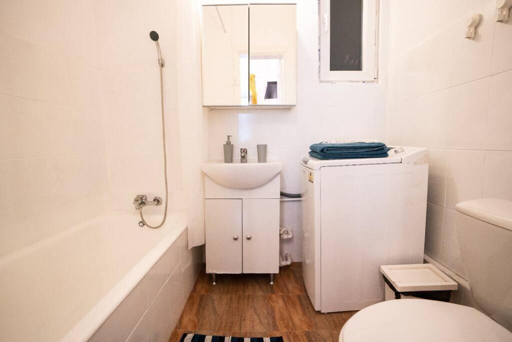 Apartmán Cozy Studio Near Cismigiu Park Bukurešť Exteriér fotografie