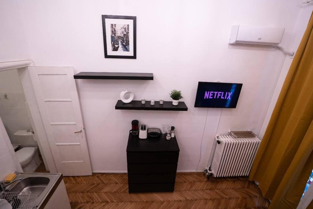 Apartmán Cozy Studio Near Cismigiu Park Bukurešť Exteriér fotografie
